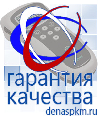 Официальный сайт Денас denaspkm.ru Выносные электроды Дэнас-аппликаторы в Новосибирске